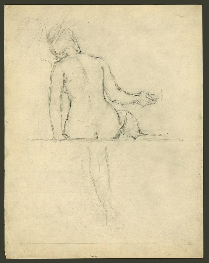 Studio per figura della Zoologia Biblioteca del Congresso